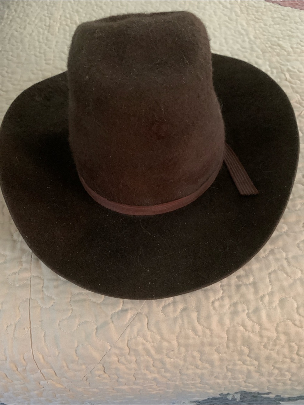 Beaver Pelt Classic Wide-Brim Felt Hat in Dark Brown